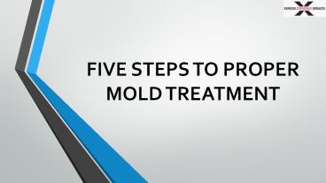 Five Steps To Proper Mold Treatment