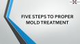 Five Steps To Proper Mold Treatment PowerPoint PPT Presentation