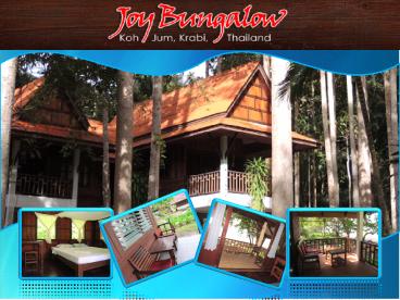 Joy Bungalow- A Little Piece of Paradise