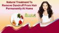 Natural Treatment to Remove Dandruff from Hair Permanently at Home PowerPoint PPT Presentation