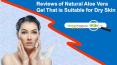 Reviews of Natural Aloe Vera Gel That is Suitable for Dry Skin PowerPoint PPT Presentation