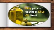 Why You Need To Shift To Olive Oil Now!