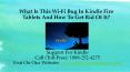 What Is This Wi-Fi Bug In Kindle Fire Tablets And How To Get Rid Of It? PowerPoint PPT Presentation