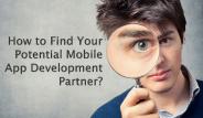How to Find Your Potential Mobile App Development Partner?