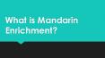 What is Mandarin Enrichment? PowerPoint PPT Presentation