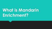 What is Mandarin Enrichment?