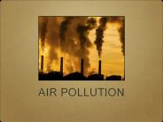 Air Pollution Effects