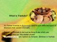 What are the benefits of Triphala? Ayurveda