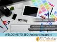 Online Reputation Management Services in Singapore PowerPoint PPT Presentation