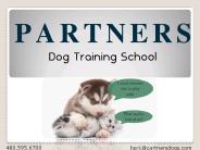 Dog Swimming Private Lessons