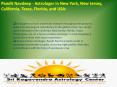 Pandit Navdeep - Astrologer in New York, New Jersey, California, Texas, Florida, and USA: PowerPoint PPT Presentation
