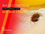 Benefits of Bed Bugs Heat Treatment Edmonton