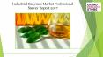 Industrial Enzymes Market Professional Survey Report 2017 PowerPoint PPT Presentation