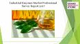 Industrial Enzymes Market Professional Survey Report 2017 (1) PowerPoint PPT Presentation