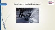 Snowblower Market Report 2017