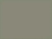 HS 255 course Marvelous Learning/tutorilarank.com