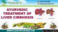 How to Treat Liver Disease in Ayurveda with Herbal Remedies
