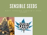 Free Cannabis Seeds
