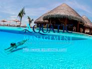 Essential Swimming Pool Supplies
