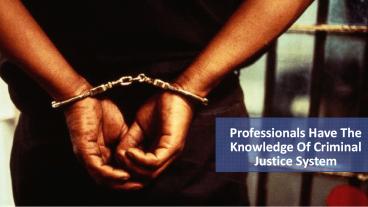 Professionals Have the Knowledge of Criminal Justice System