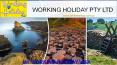 UK working Holiday Visa - workinholiday PowerPoint PPT Presentation