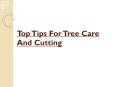 Top Tips For Tree Care And Cutting PowerPoint PPT Presentation