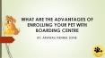 Amazing Benefits of Enrolling your Pet in Dog Boarding PowerPoint PPT Presentation
