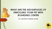 Amazing Benefits of Enrolling your Pet in Dog Boarding