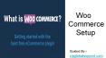 Woocommerce setup (1) PowerPoint PPT Presentation
