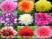 Funeral Flowers—Names and Symbolism
