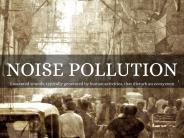 Noise Pollution