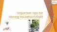 How you relocate your home plant (1) PowerPoint PPT Presentation