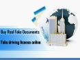 Fake driving license online
