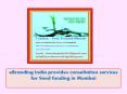 eBranding India provides consultation services for Seed funding in Mumbai PowerPoint PPT Presentation