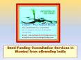 Seed Funding Consultation Services in Mumbai from eBranding India PowerPoint PPT Presentation