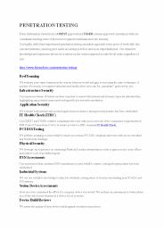 Penetration Testing Services, UK - Fidus InfoSecurity