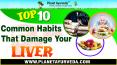 Top 10 Common Habits That Damage Your Liver PowerPoint PPT Presentation