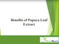 Benefits And Amazing Facts Of Papaya Leaf Extract PowerPoint PPT Presentation