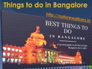 Things to do in Bangalore