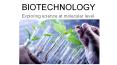 biotechnology PowerPoint PPT Presentation