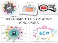 Social Media Expert company in Singapore| SEO Agency Singapore PowerPoint PPT Presentation