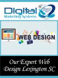 Our Expert Web Design Lexington SC PowerPoint PPT Presentation