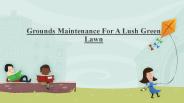 Lawn Care and Grounds Maintenance Services