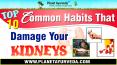 Top 10 Common Habits That Damage Your Kidneys | Take Care of Your Kidneys PowerPoint PPT Presentation