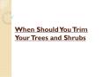 When Should You Trim Your Trees and Shrubs PowerPoint PPT Presentation