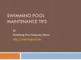 Swimming Pool Maintenance Tips PowerPoint PPT Presentation