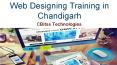 web Designing Training in Chandigarh PowerPoint PPT Presentation