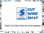 Steel Cut Wire Shot for shot blasting (11)