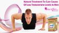 Natural Treatment to Cure Causes of Low Testosterone Levels in Men PowerPoint PPT Presentation