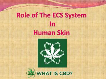 Role of The ECS System In Human Skin